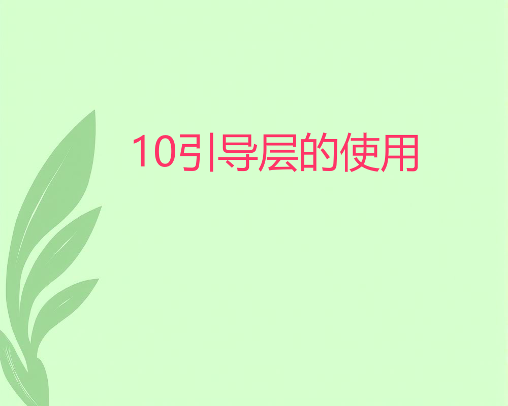 10引导层的使用